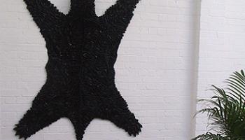 bear skin en la pared